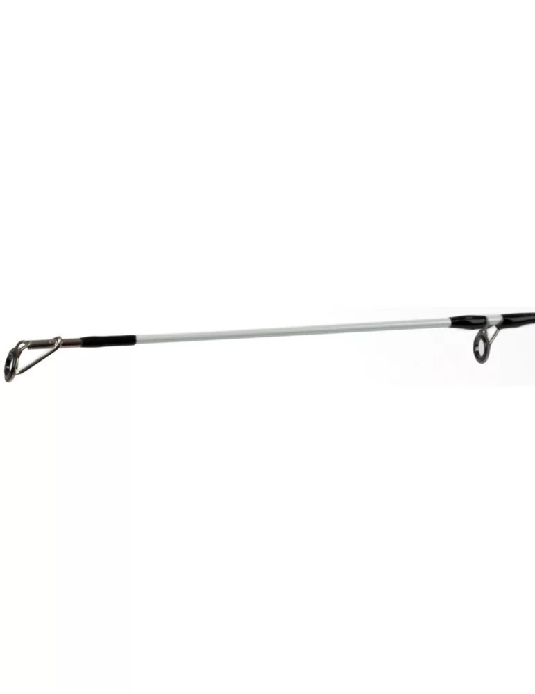 Canne Eos barbel specialist 12ft Fox