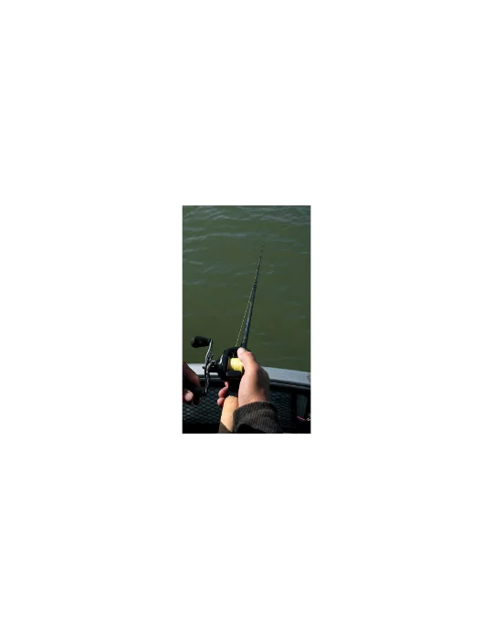 Canne Terminator power shad Fox Rage pêche carnassier - Natusport
