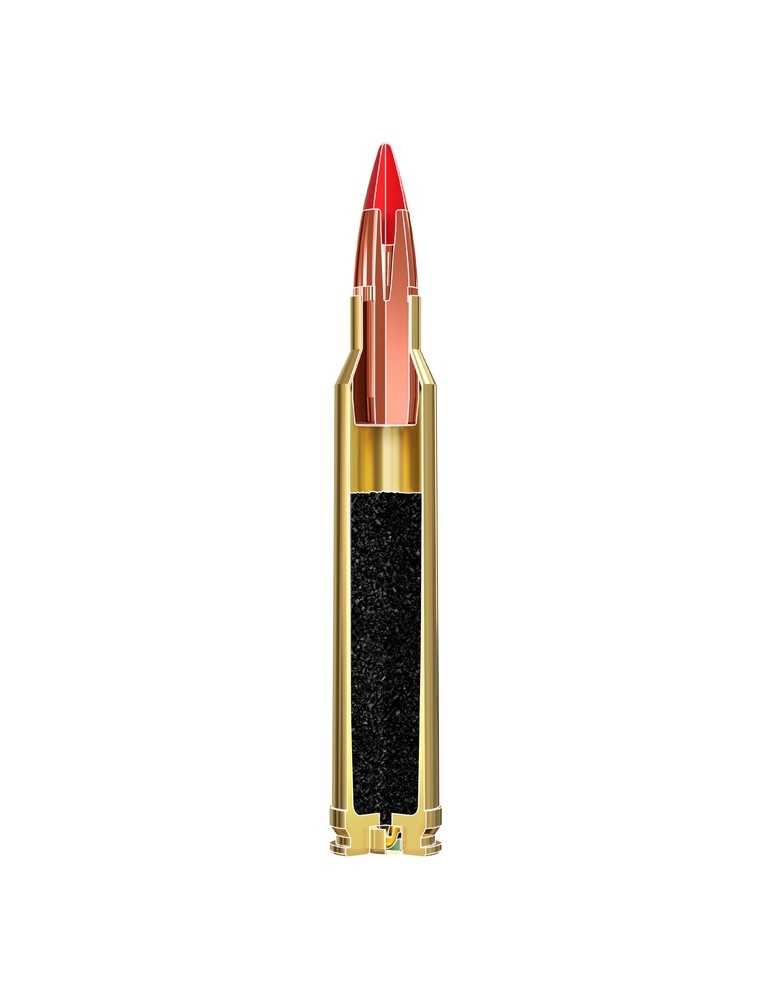Winchester Copper Impact 300 Win Mag 180gr - Natusport