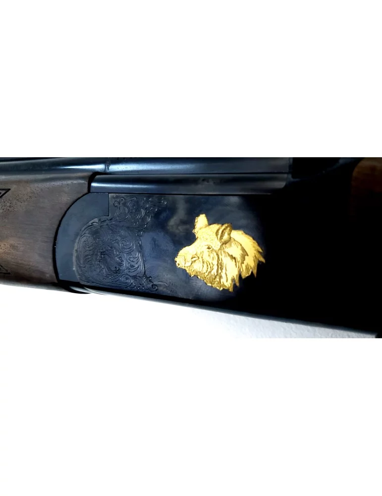 Fair premier express traqueur 30 R blaser