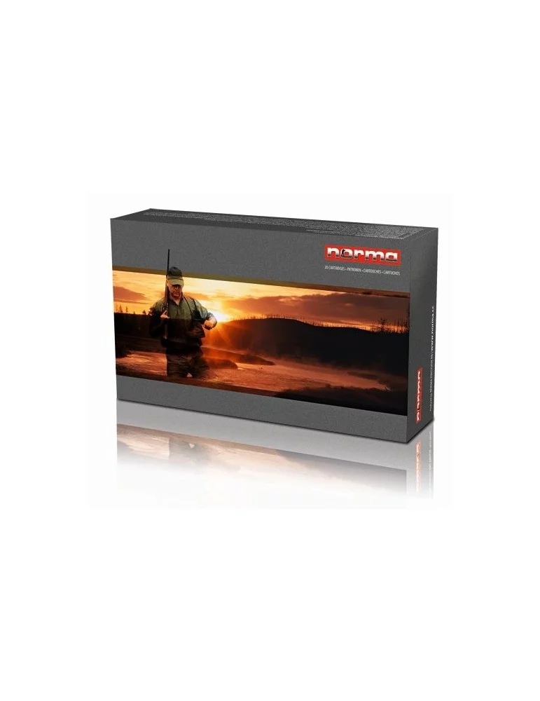 Norma 9.3x62 Pointe Plastique 285 gr