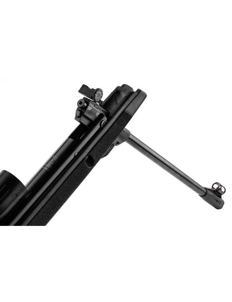 Pack Carabine Gamo Black Shadow 4.5mm/14J