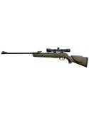 Pack Gamo Big Cat 1000E Barricade 4.5 mm 19.9J avec lunette 4x32 wr - Natusport