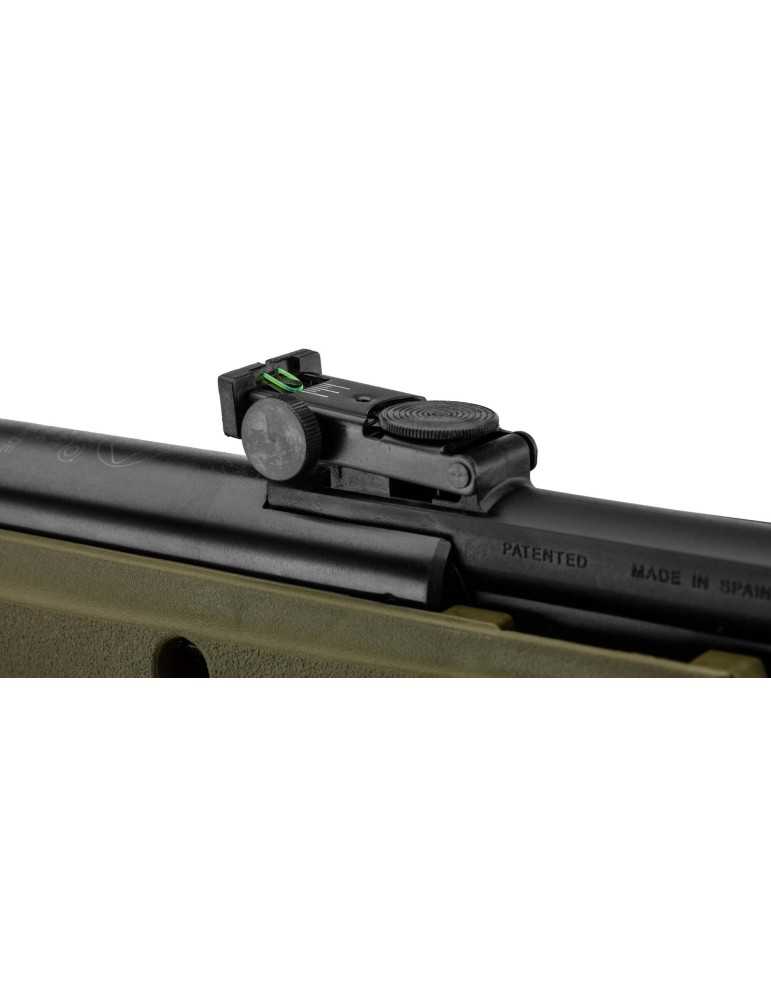 Pack Gamo Big Cat 1000E Barricade 4.5 mm 19.9J avec lunette 4x32 wr - Natusport