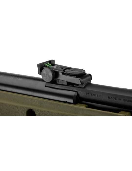 Pack Gamo Big Cat 1000E Barricade 4.5 mm 19.9J avec lunette 4x32 wr - Natusport