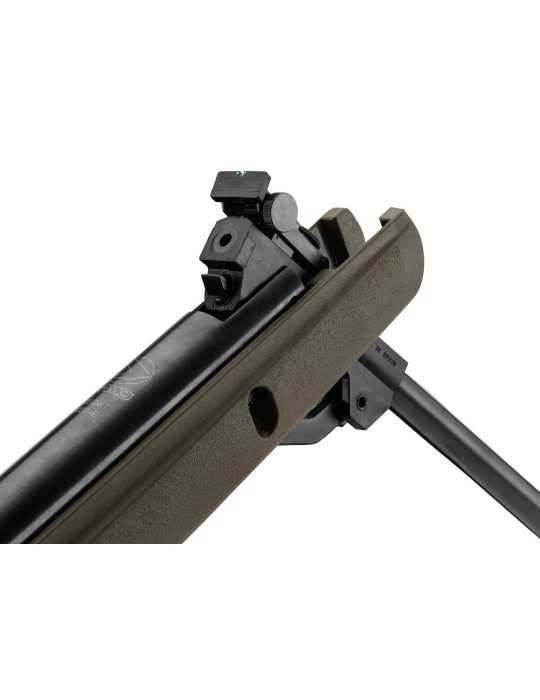 Pack Gamo Big Cat 1000E Barricade 4.5 mm 19.9J avec lunette 4x32 wr - Natusport