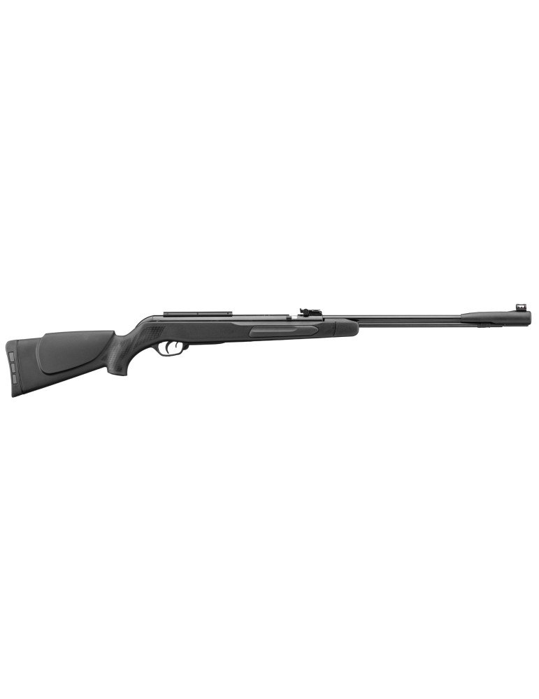 Gamo CFX canon fixe 19.9 J - Natusport