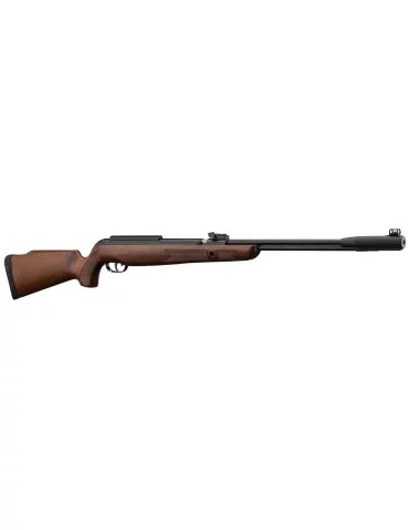 Gamo CFX Royal à canon fixe - 19,9J - Natusport 2