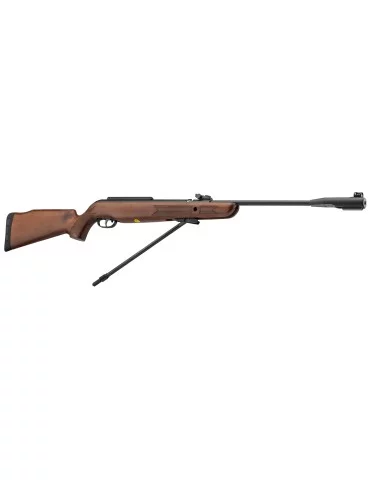 Gamo CFX Royal à canon fixe - 19,9J - Natusport