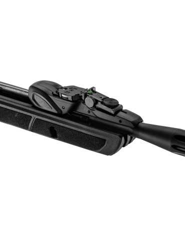 Gamo Roadster IGT chargeur 10 coups Gen2 - Natusport 2