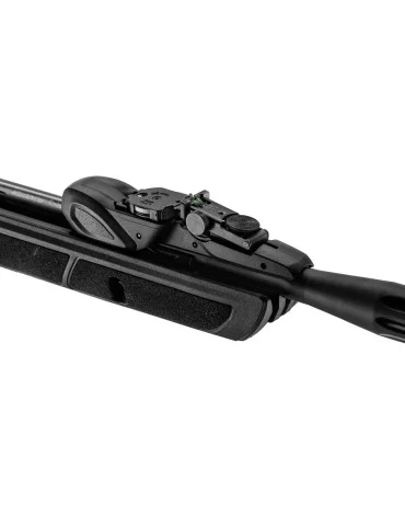 Gamo Roadster IGT chargeur 10 coups Gen2 - Natusport 2