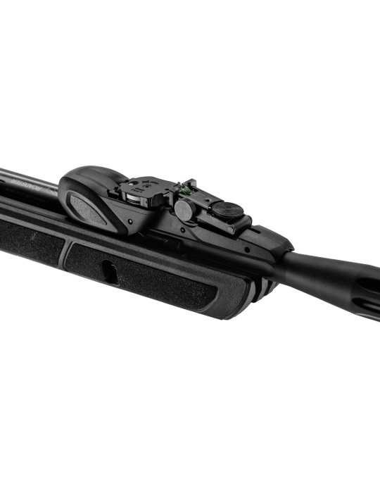 Gamo Roadster IGT chargeur 10 coups Gen2 - Natusport