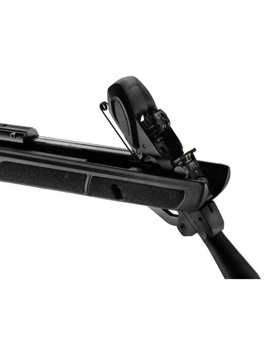 Gamo Roadster IGT chargeur 10 coups Gen2 - Natusport