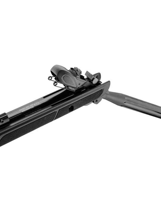 Gamo Roadster IGT chargeur 10 coups Gen2 - Natusport