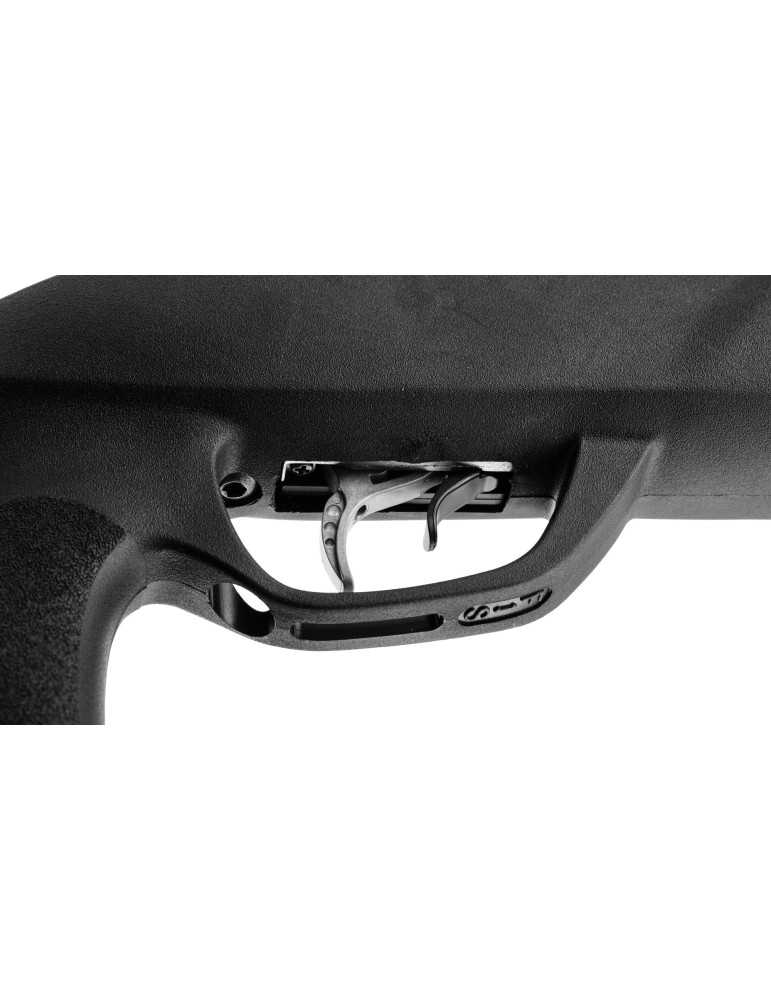 Gamo Roadster IGT chargeur 10 coups Gen2 - Natusport