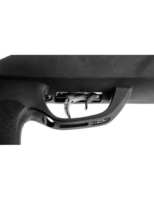 Gamo Roadster IGT chargeur 10 coups Gen2 - Natusport