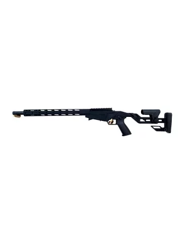 Ruger Precision rimfire noire calibre 22 lr d'expo