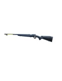 Browning T-bolt varmint calibre 22LR d'expo