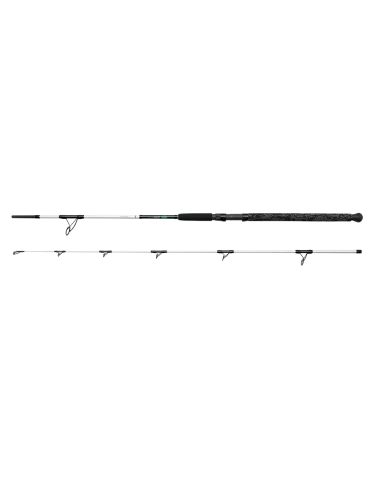 Canne spinning White Spin Madcat - Natusport