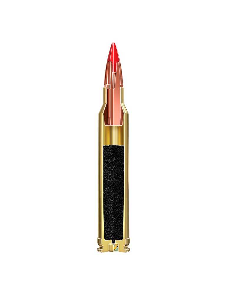 Winchester Copper Impact 300 Win Mag 150gr - Natusport