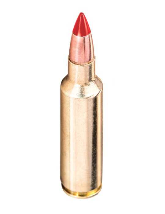 Winchester Copper Impact 300 Win Mag 150gr - Natusport