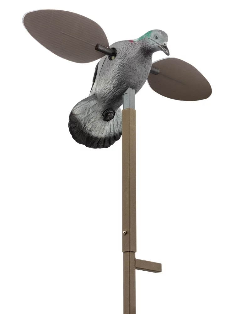 Appelant pigeon à aile tournante Mojo - Natusport