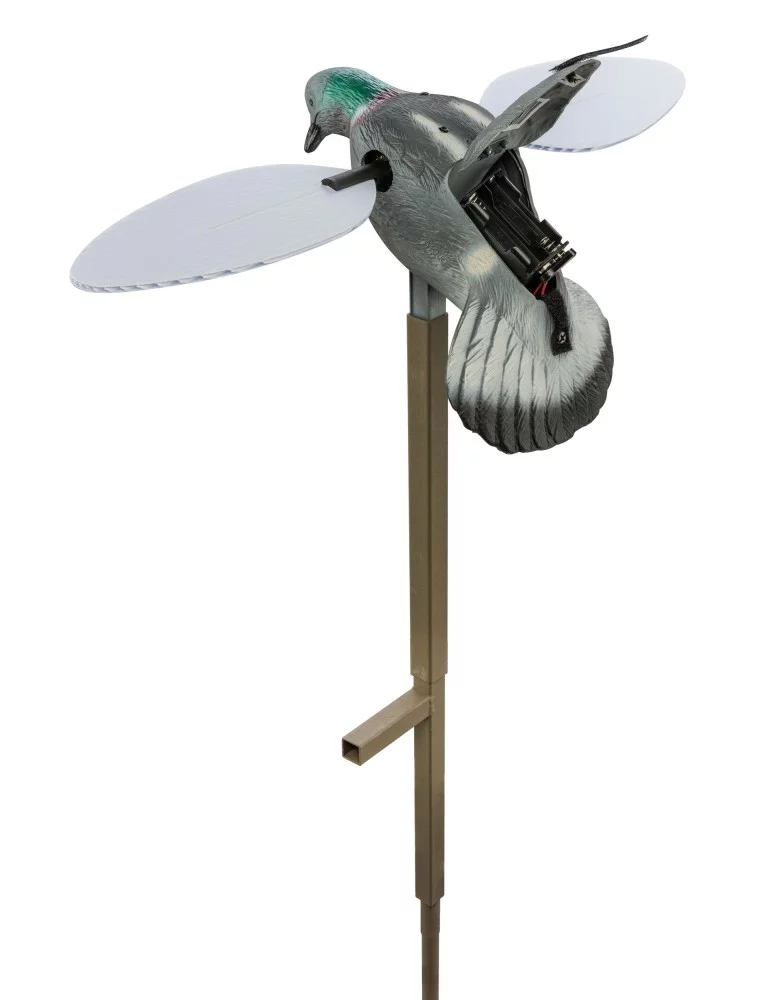 Appelant pigeon à aile tournante Mojo - Natusport