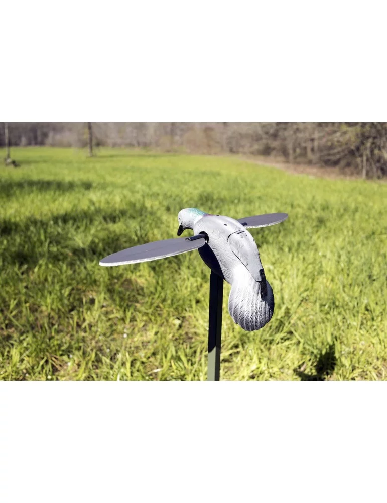 Appelant pigeon à aile tournante Mojo - Natusport