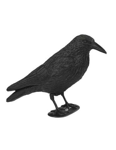 Appelant corbeau - Natusport