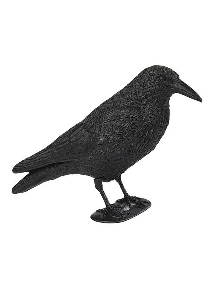 Appelant corbeau - Natusport