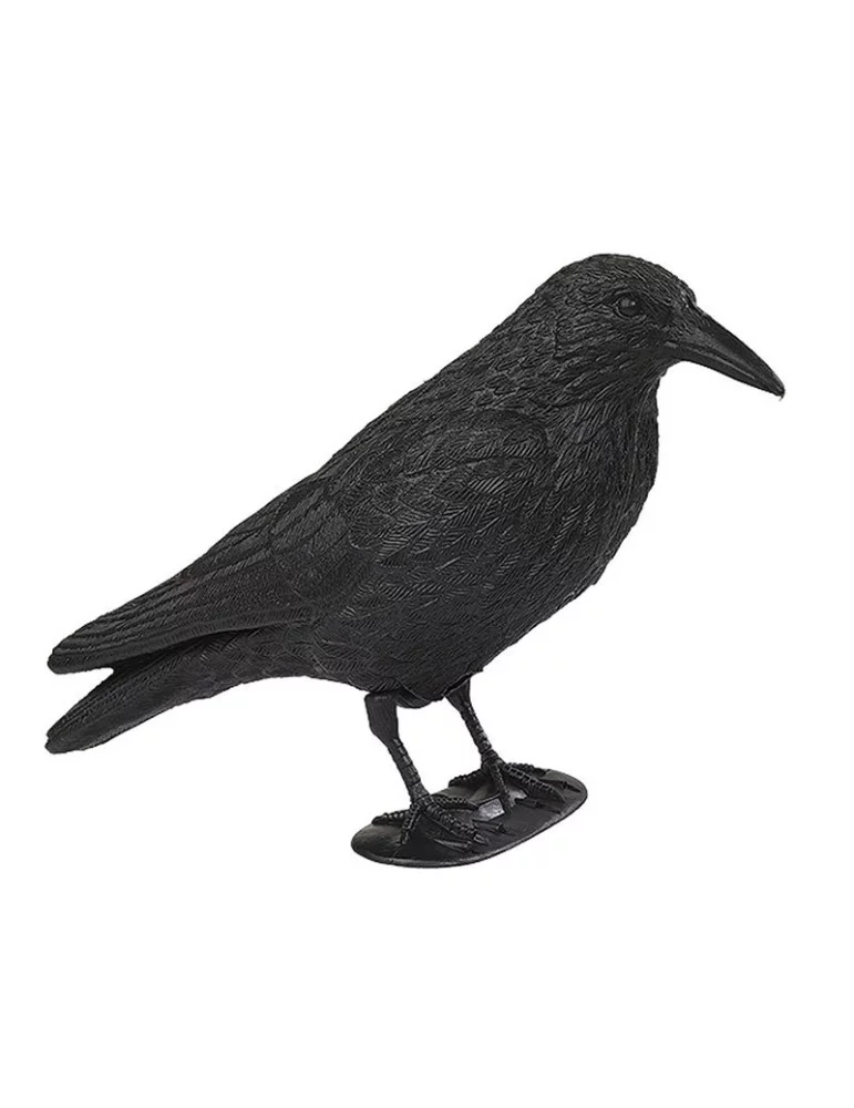 Appelant corbeau - Natusport