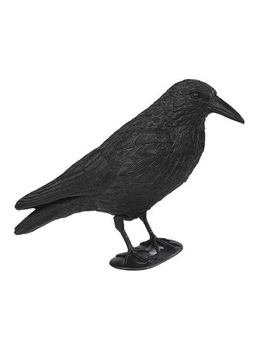 Appelant corbeau - Natusport