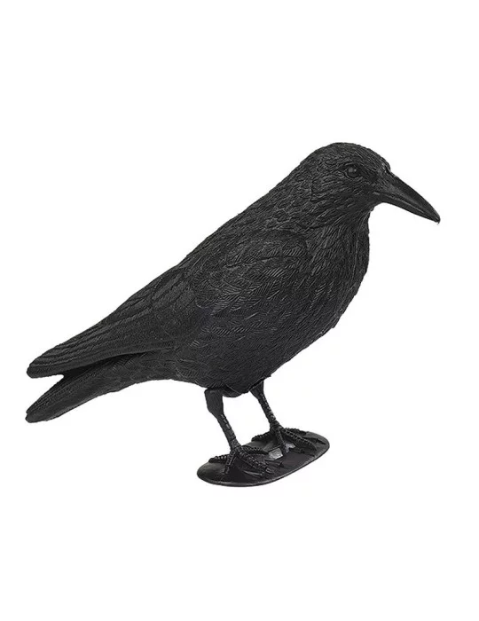 Appelant corbeau - Natusport