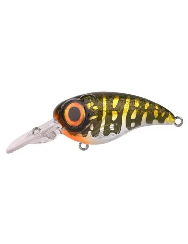 Leurre Dur Spro Fat Iris CR 60 - Natusport 2