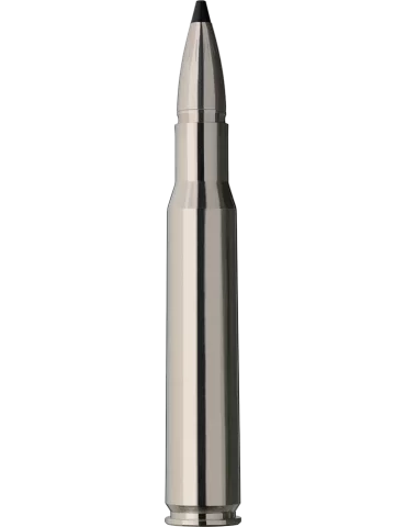 RWS Speed Tip Pro short rifle30-06 Sprg 165 grains 2
