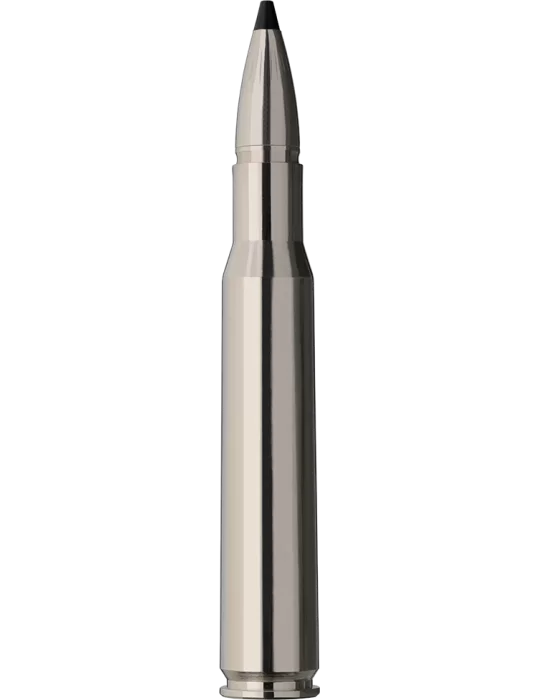 RWS Speed Tip Pro Short Rifle 30-06 165gr - Natusport