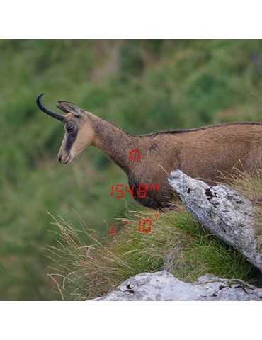 Jumelles télémètriques GPO Rangeguide 3200 8x40 2