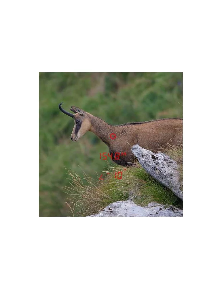 Jumelles télémètriques GPO Rangeguide 3200 8x40