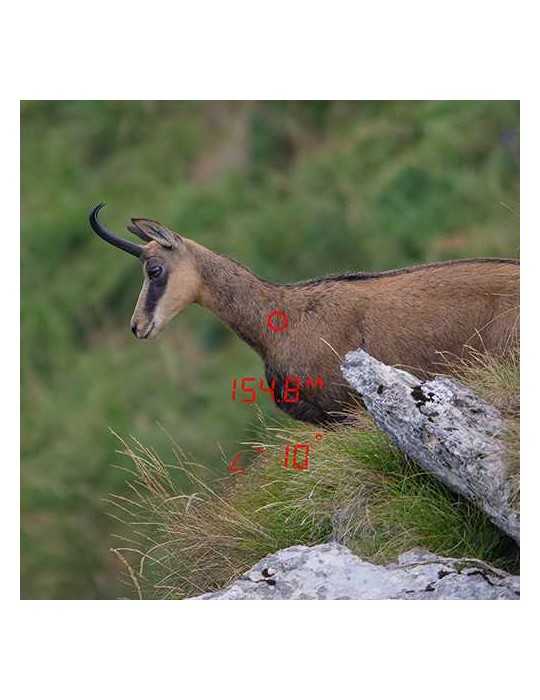 Jumelles télémètriques GPO Rangeguide 3200 8x40