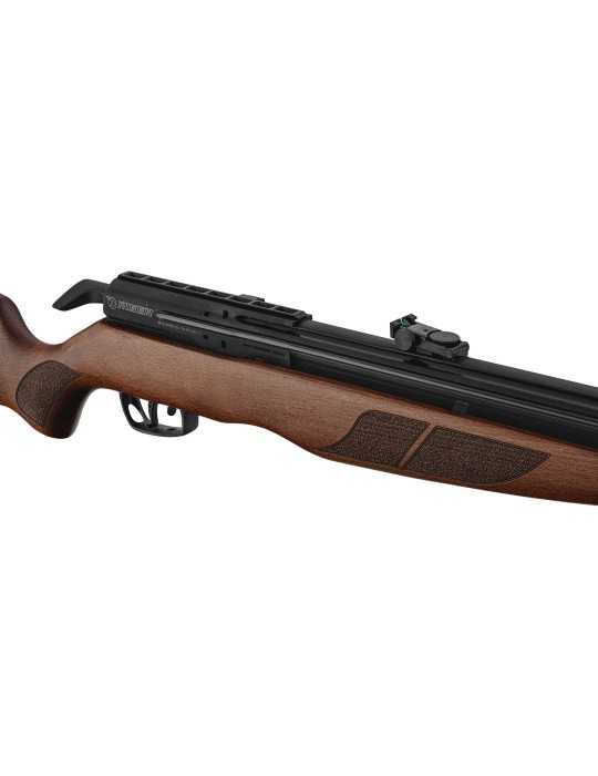 Carabine Gamo PCP Riser Punisher calibre 5.5mm - Natusport