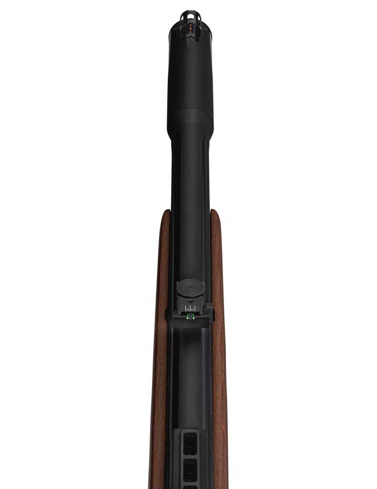 Carabine Gamo PCP Riser Punisher calibre 5.5mm - Natusport