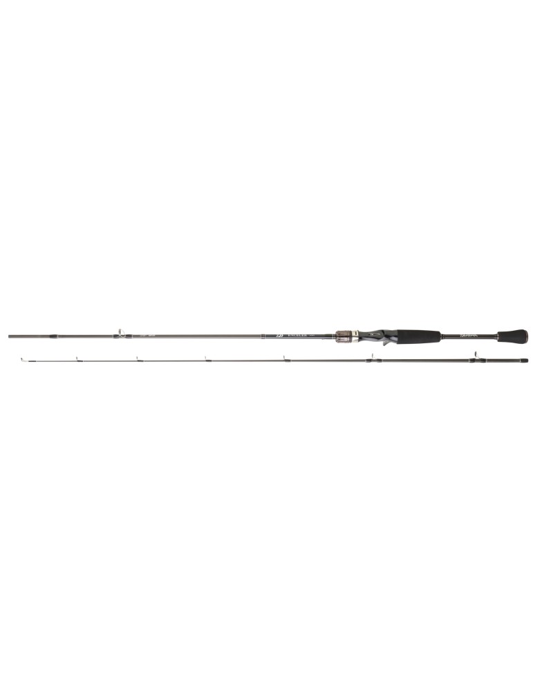 Canne casting Exceler Daiwa 229cm 60-120g - Natusport