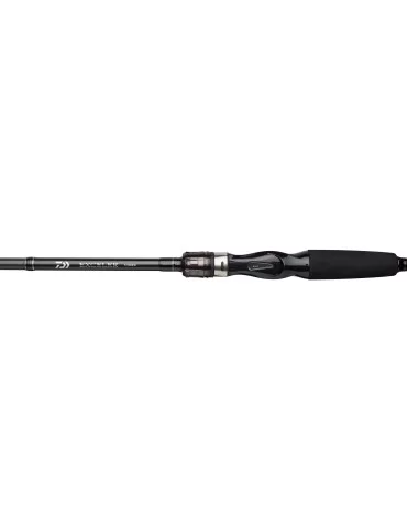 Canne casting Exceler Daiwa 229cm 60-120g - Natusport 2