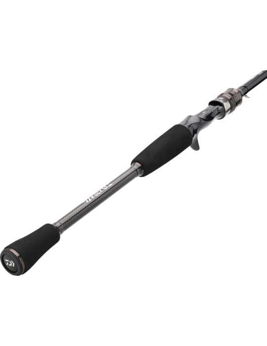 Canne casting Exceler Daiwa 229cm 60-120g - Natusport