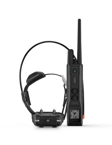 Garmin Pro 550 plus avec collier de suivi et de dressage TT15F mini