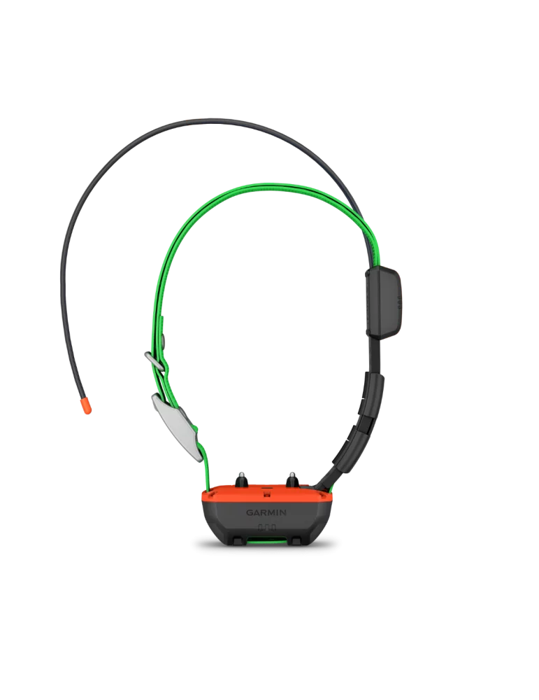Collier de suivi et de dressage Garmin TT25F - Natusport