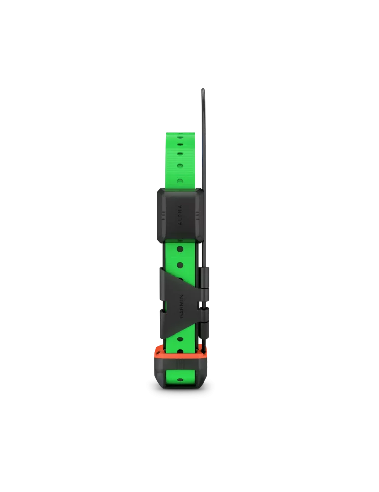 Collier de suivi et de dressage Garmin TT25F - Natusport