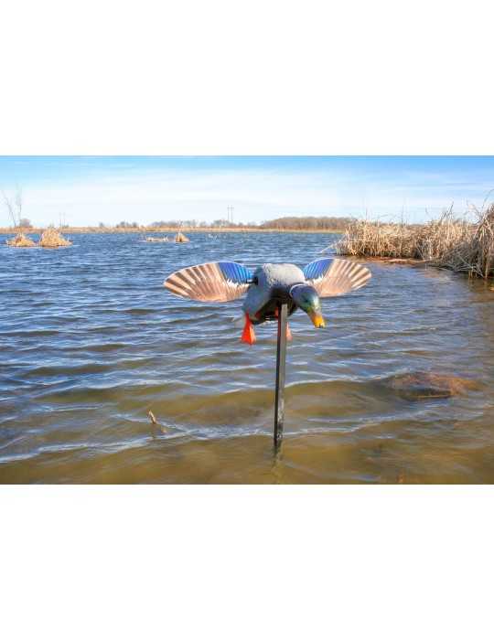 Appelant canard avec ailes tournantes motorisées Mojo