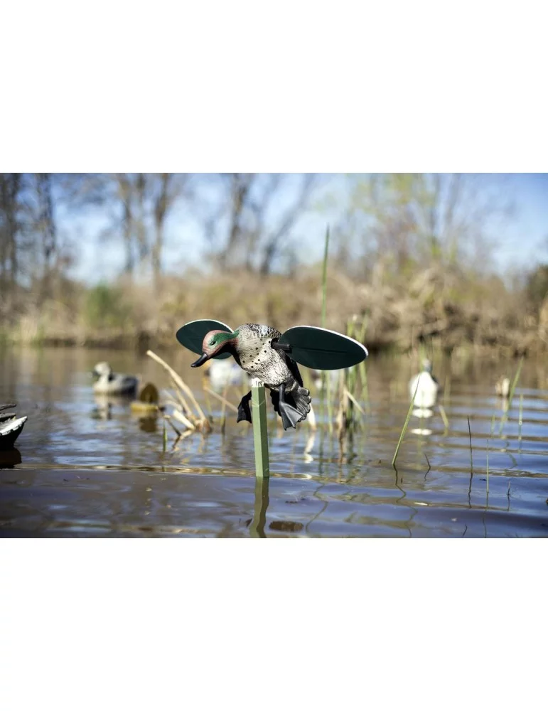 Appelant sarcelle à ailes tournantes motorisées Mojo série Elite - Natusport