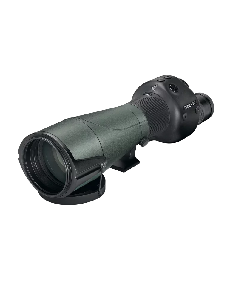 Longue-vue d'observation Swarovski STR 80 (corps seul) - Natusport